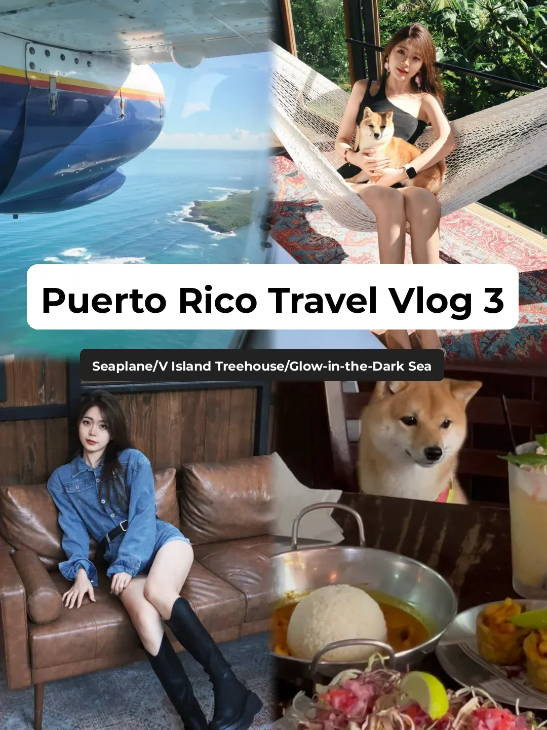 A Day in Puerto Rico 🇵🇷: Flying to Vieques Island to Stay in a Treehouse and Witness the Bioluminescent Bay