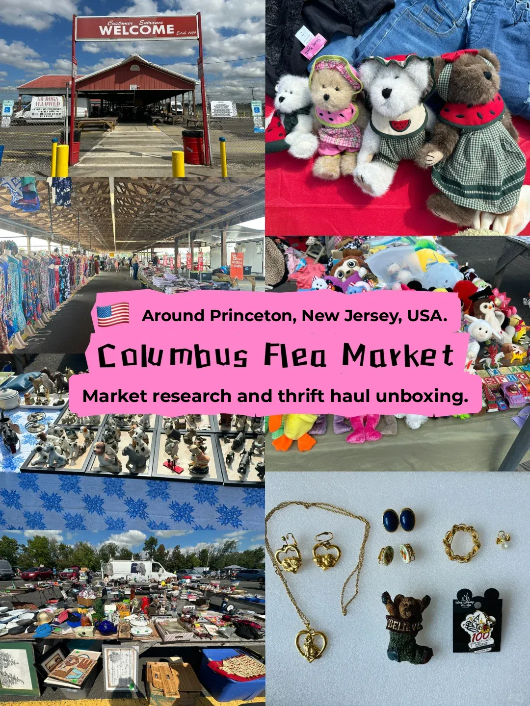 🇺🇸 Princeton, New Jersey: Exploring Local Market Stalls and Unboxing Hidden Treasures