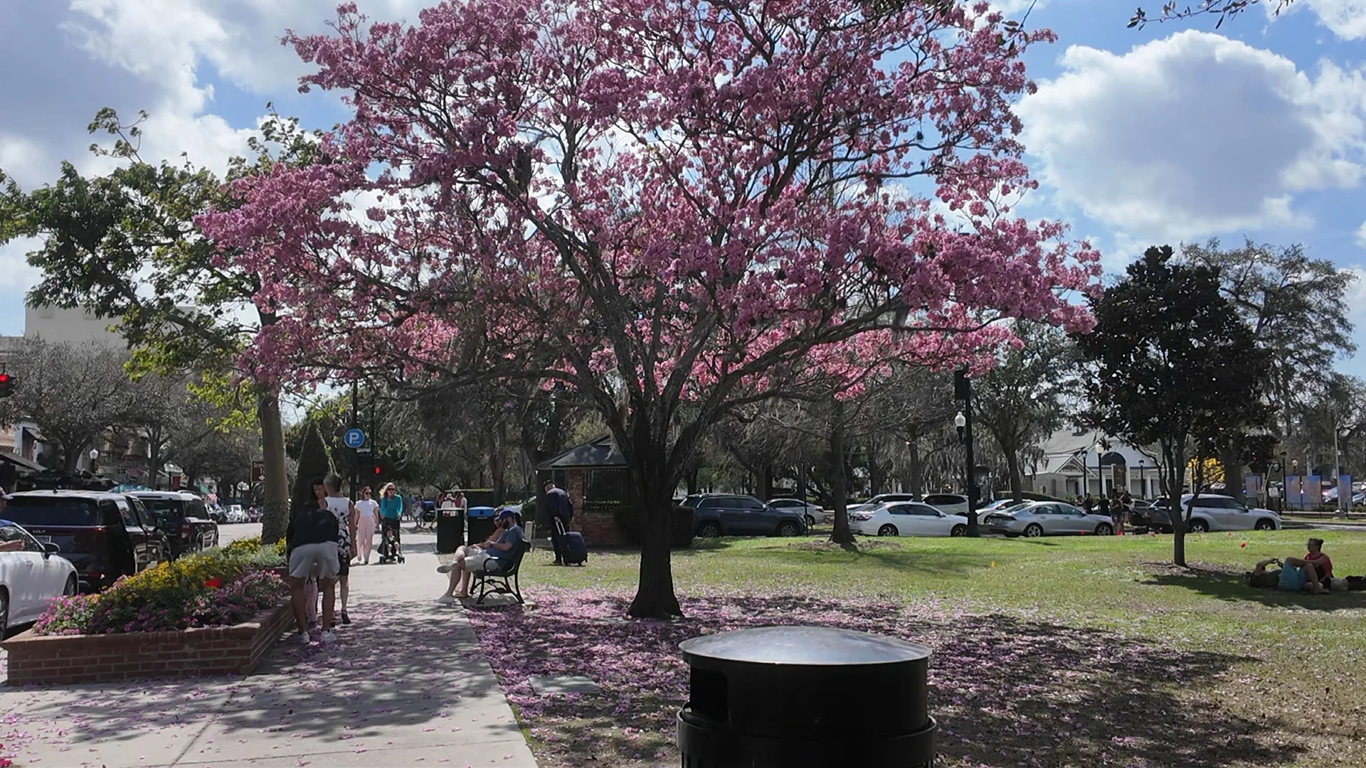 Orlando's Upscale Winter Park Neighborhood Travel Guide