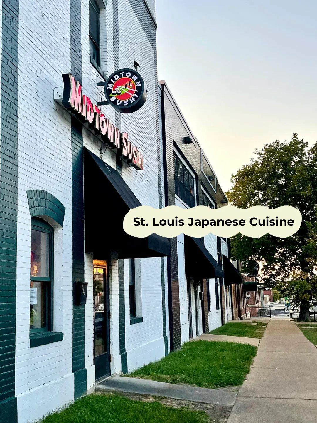 Exploring Japanese Cuisine in St. Louis❗️Midtown Sushi & Ramen
