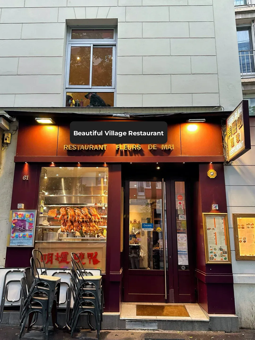 My Ultimate Budget Gem! Every Dish is a Winner! ‼️