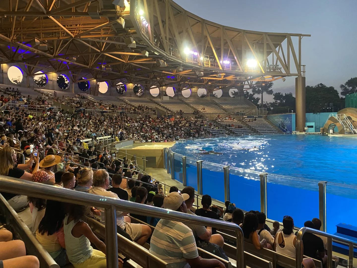 Evening Adventure at Orlando SeaWorld