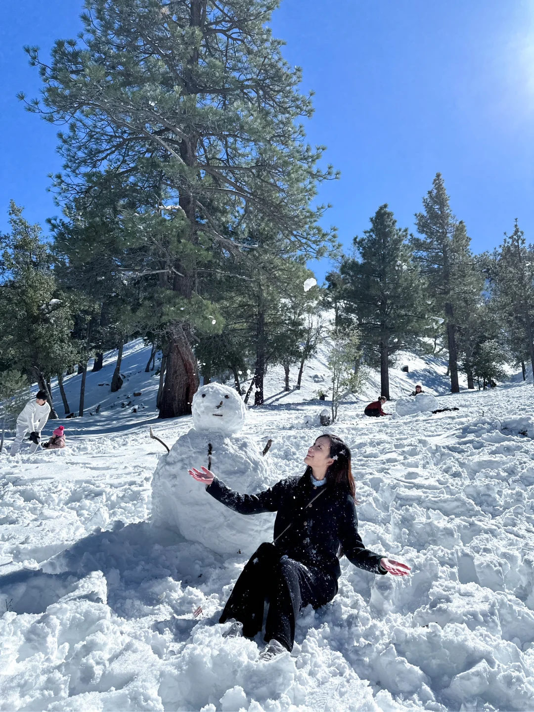Now Is the Best Time to Play in the Snow in LA—Breathe in the Fresh Air 🌲🌴