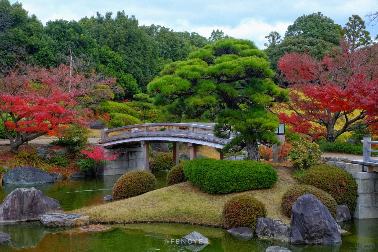 No way? Osaka has a place like this?