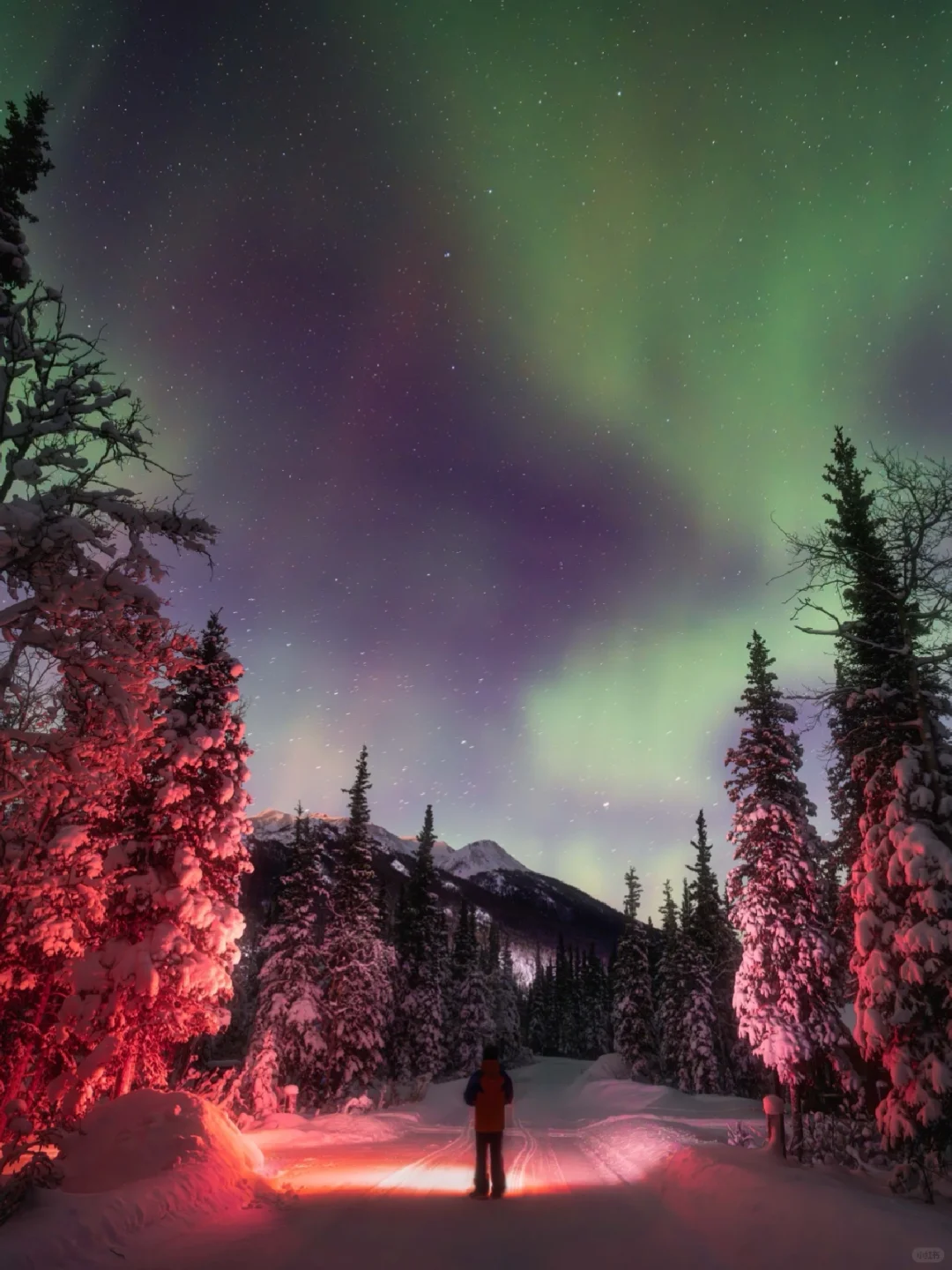 📷 Chasing the Northern Lights at Otto Lake and Denali National Park!