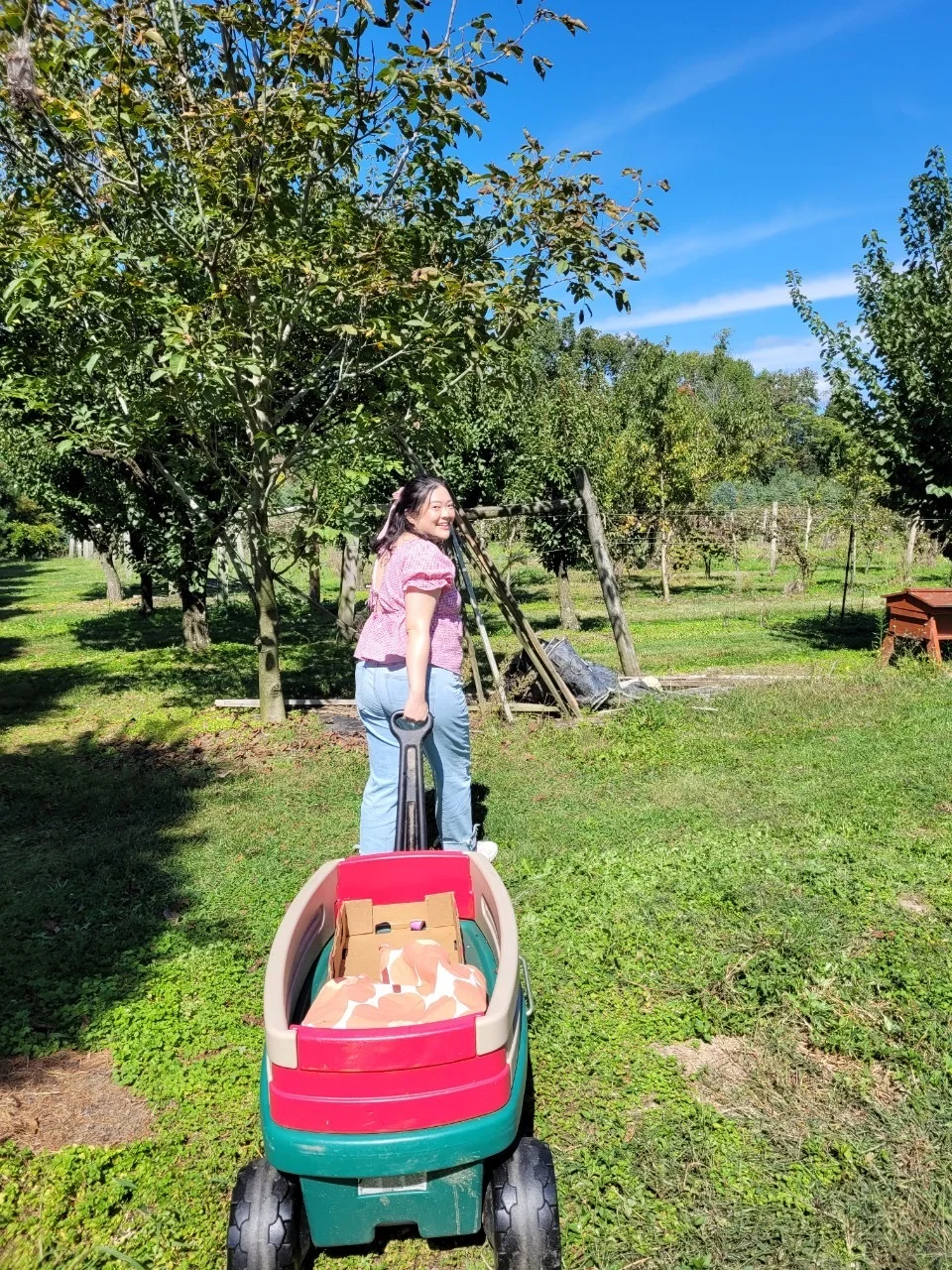 NYC Area 🪐 Super Fun Farm Experience 1+1