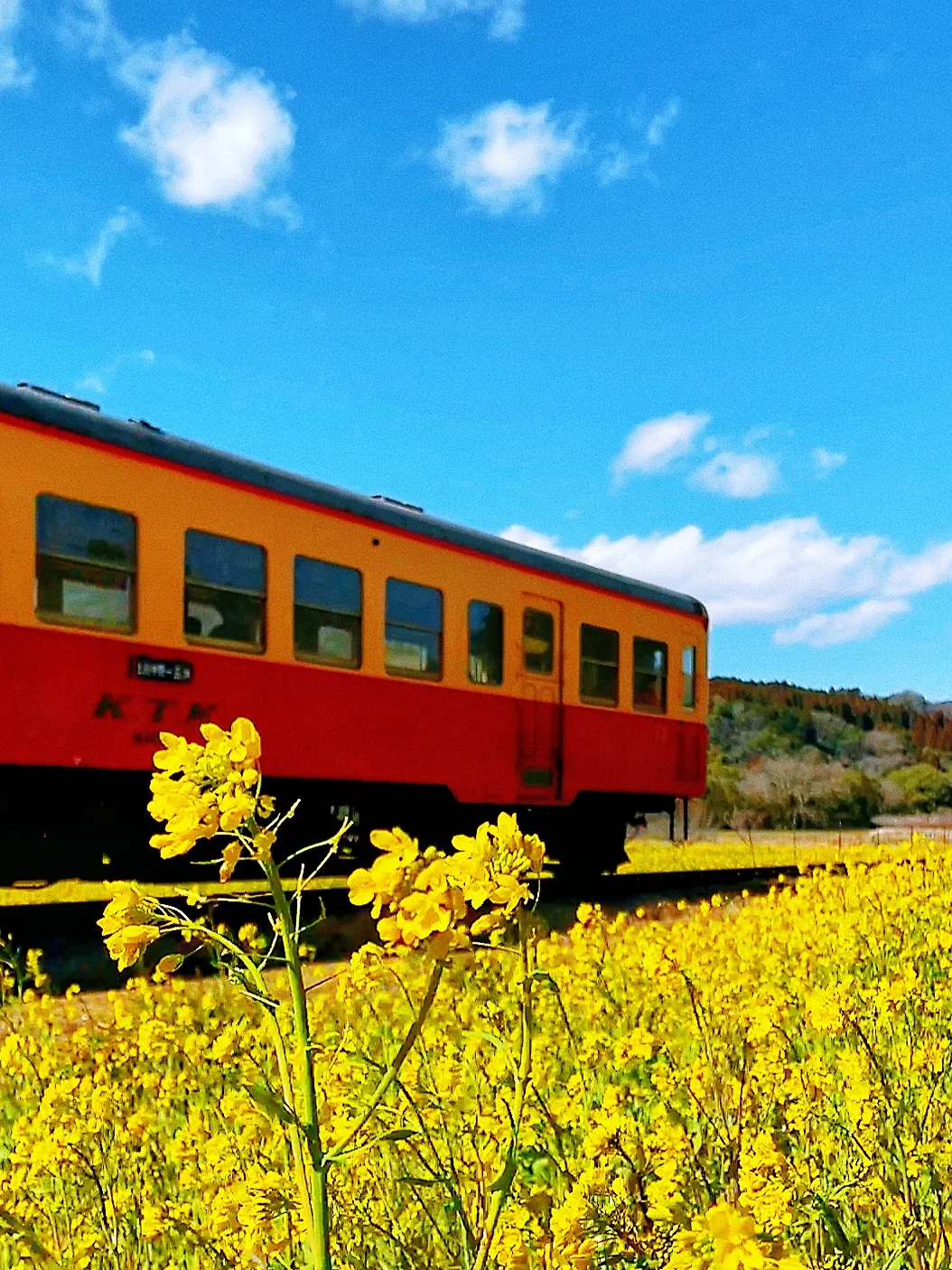 Tokyo & Chiba | A Hidden Gem Often Overlooked