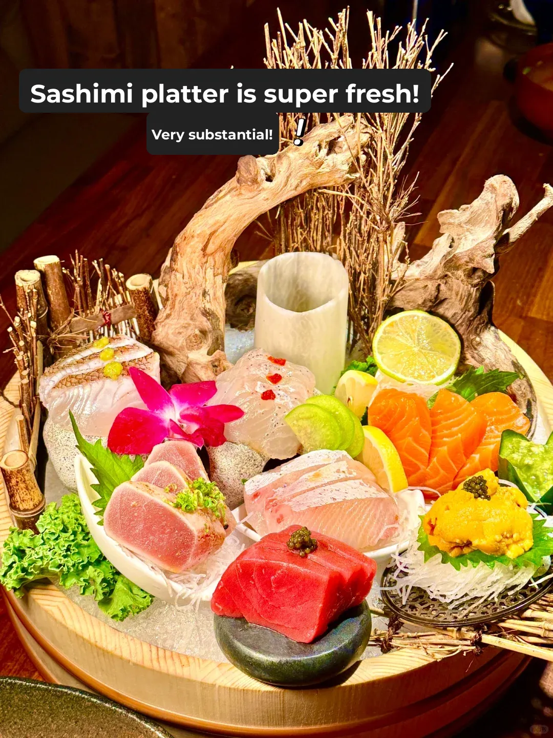 LA Japanese Food for Just $40 Per Person—So Good It'll Make You Cry 😭 The Freshest Uni & Sashimi!