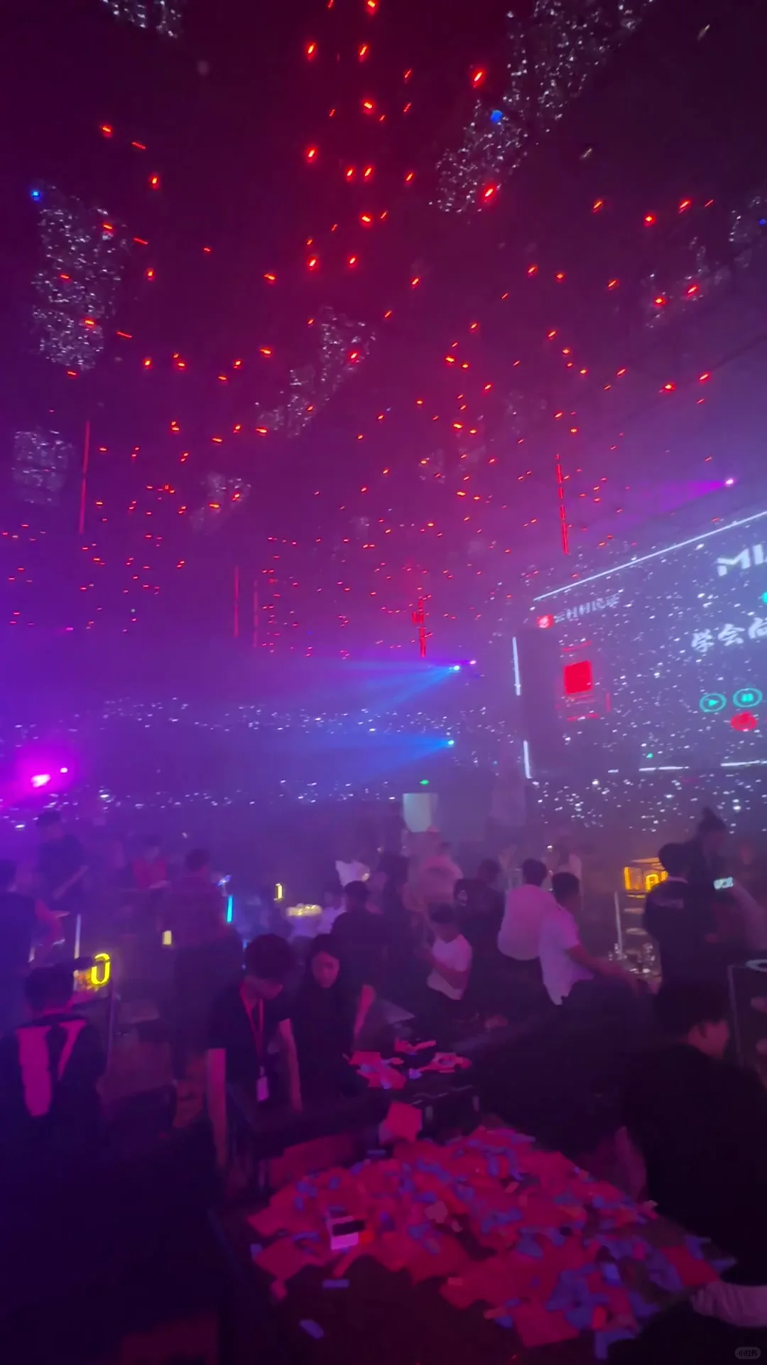 ✨ Welcome to Renqiu's Miami Bar!