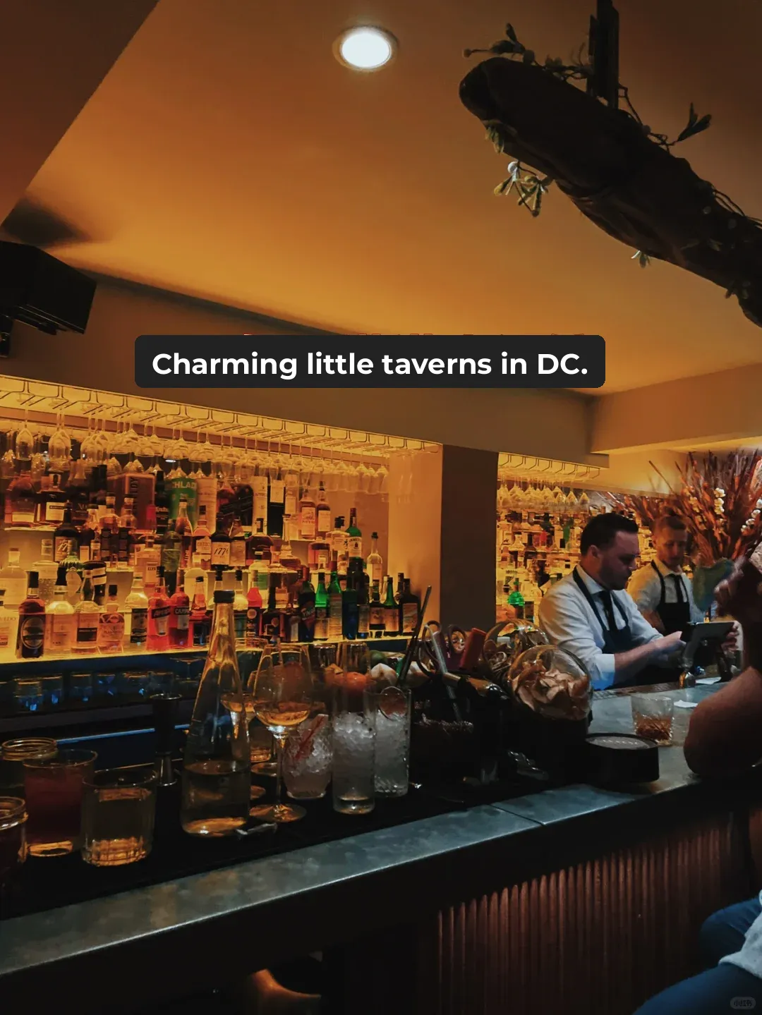 Washington DC🌟 | A Hidden Gem of a Literary-Themed Speakeasy on the Streets �🍷