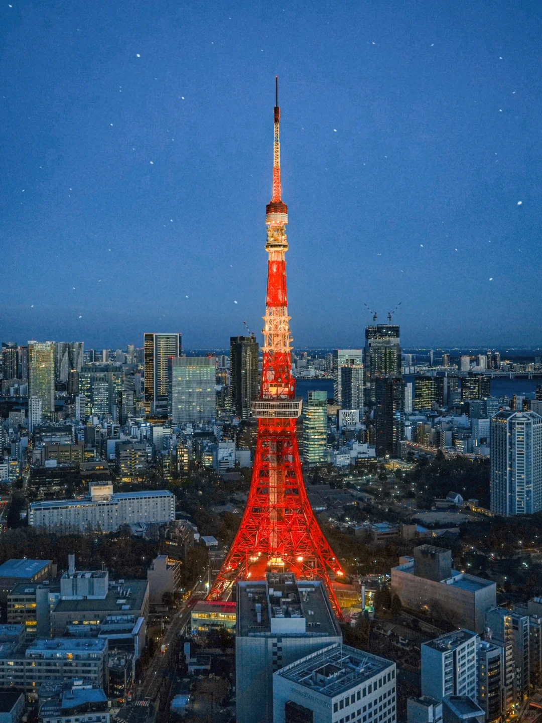 Free Tokyo Night View 🗼 My Most Successful Follow on Little Red Book...