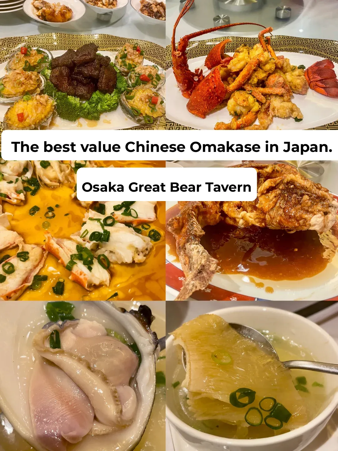 The Ultimate Chinese Omakase Experience in Osaka!