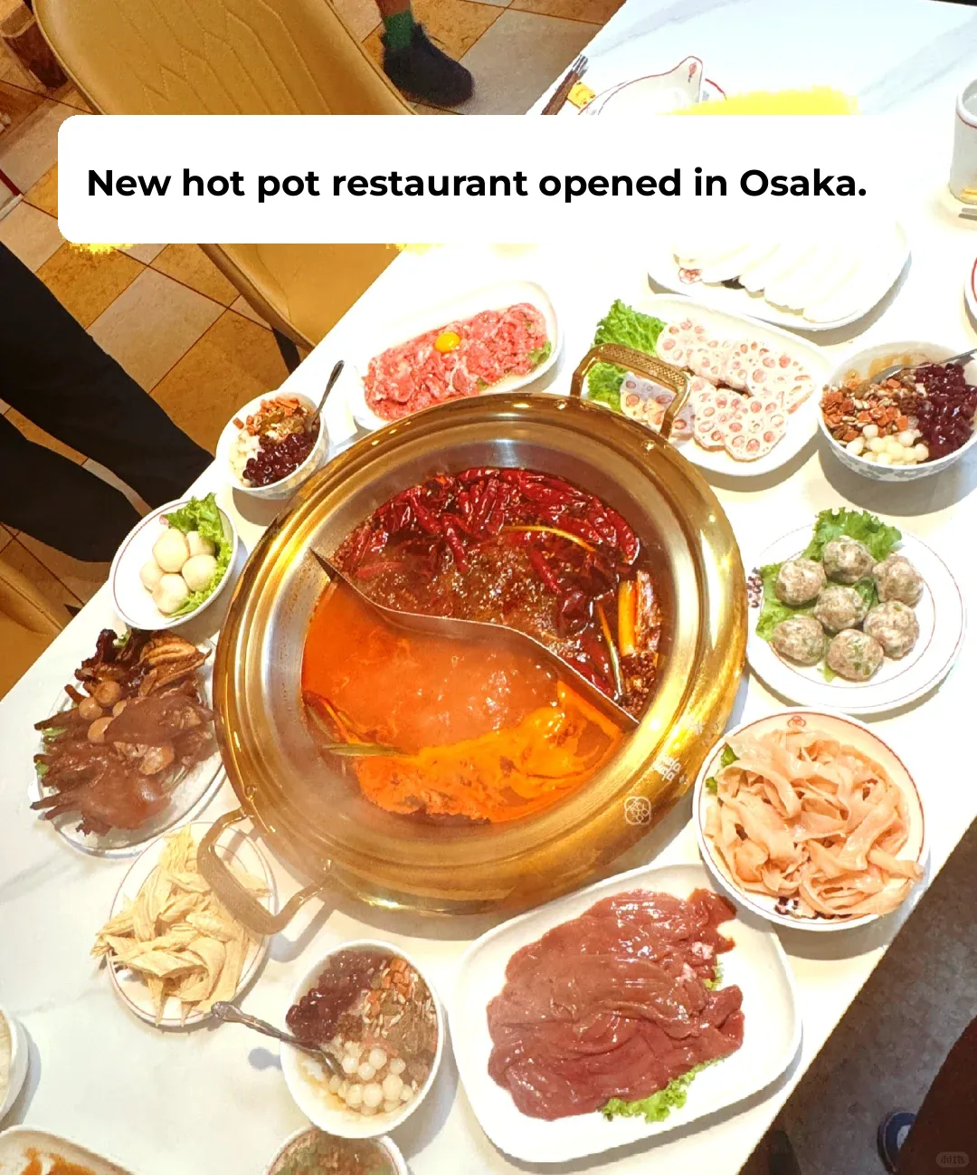 New Osaka Hot Pot Spot! Delicious Certified! Super Fresh Ingredients!