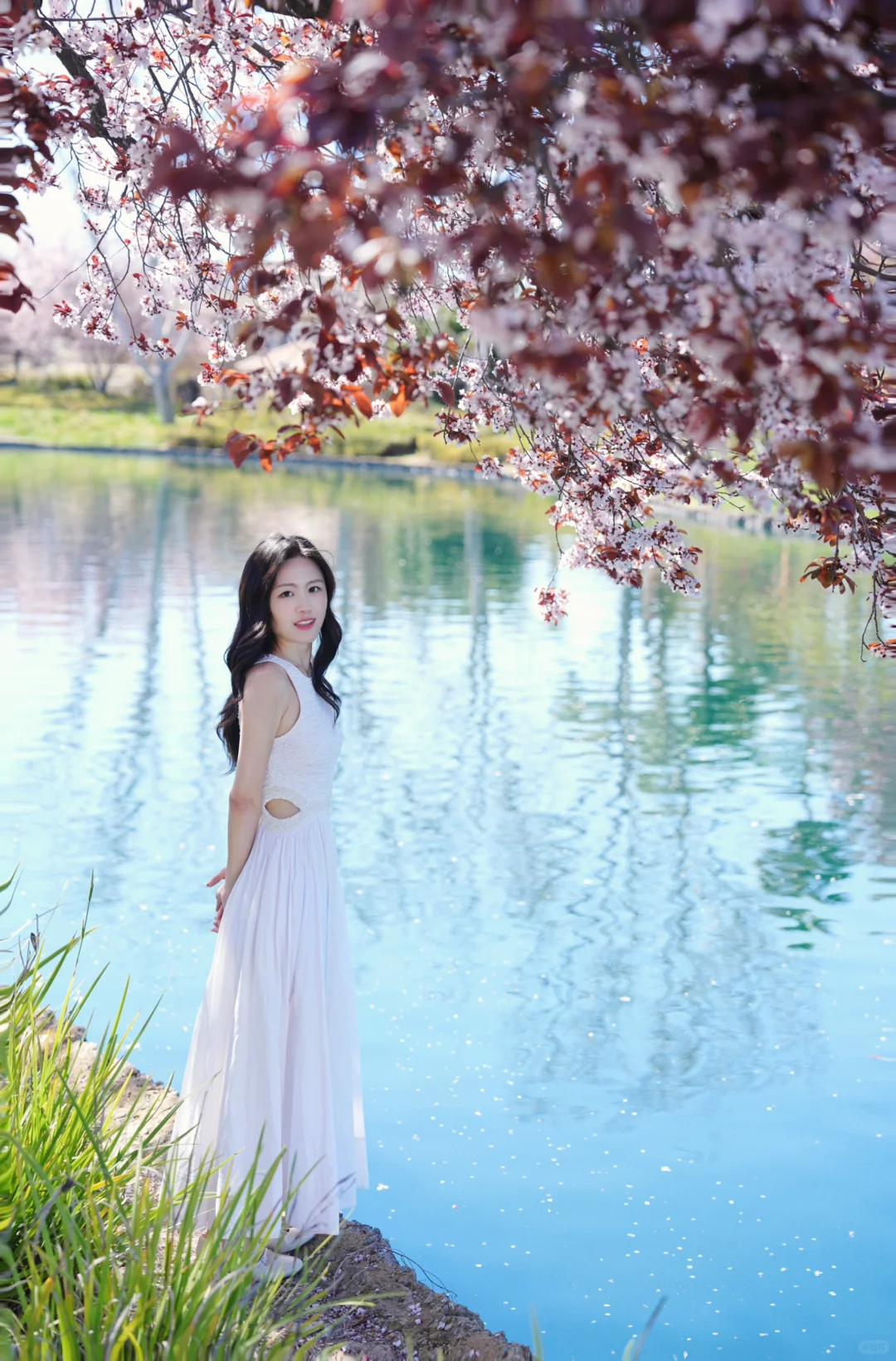 California Bay Area 🧚🏻‍♂️ Taking a Stroll in Springtime