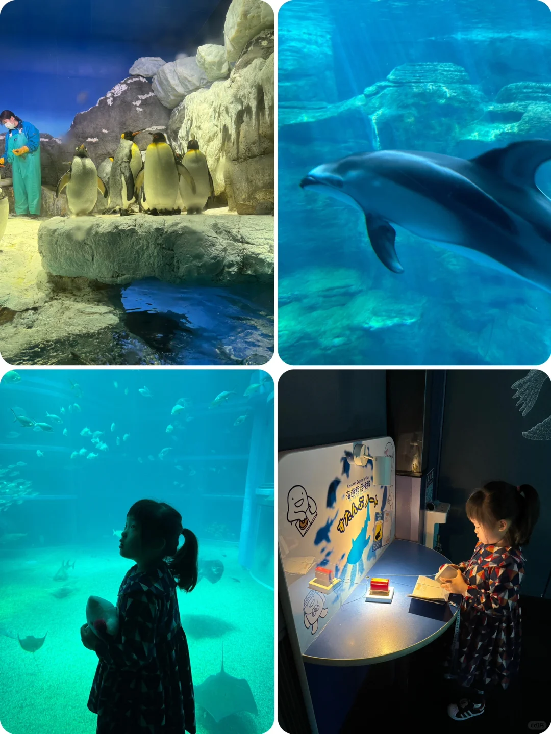 Family Fun in Japan's Kansai Region: Don't Just Stick to Universal Studios!!!