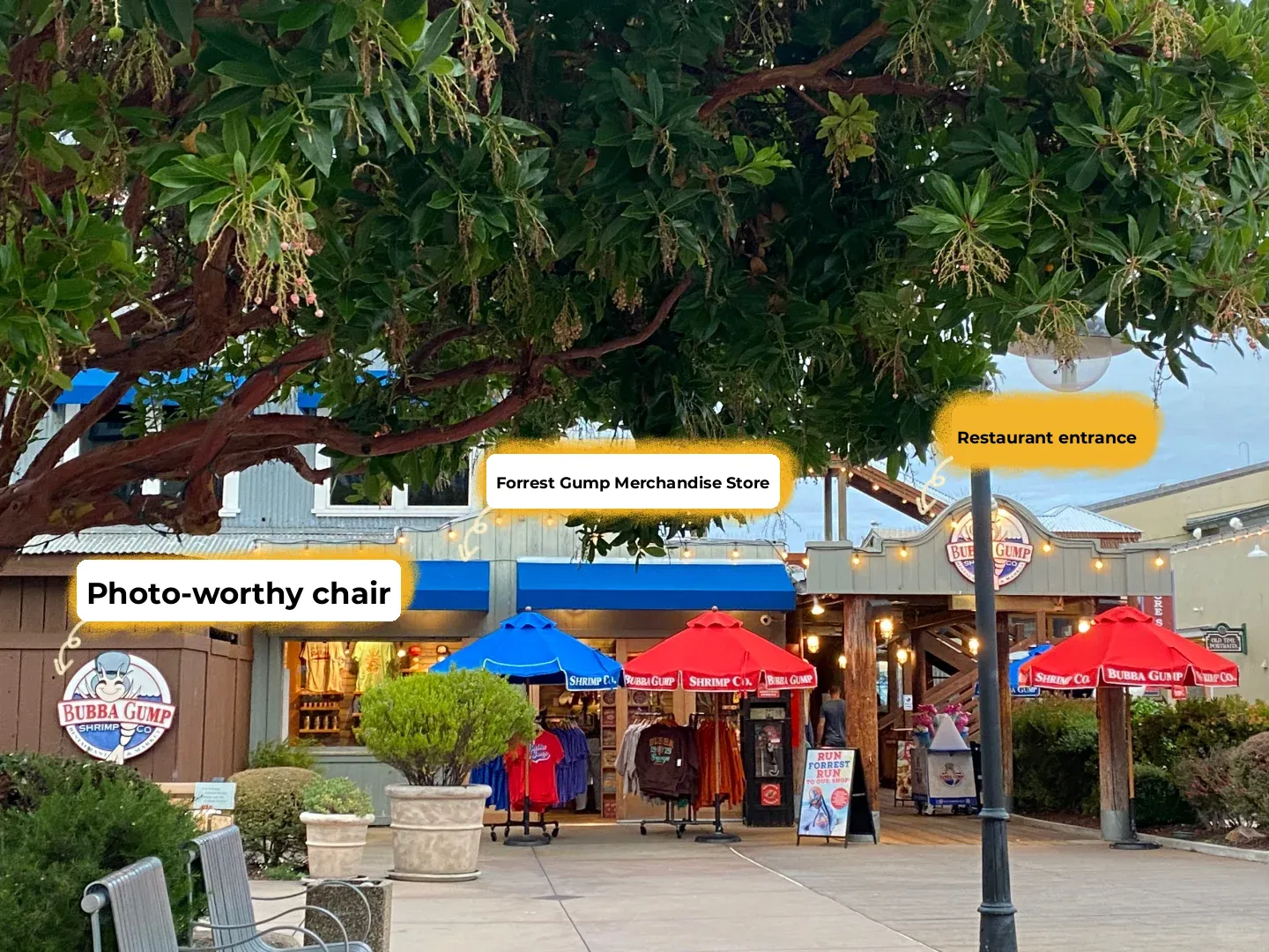 Monterey Travel Guide