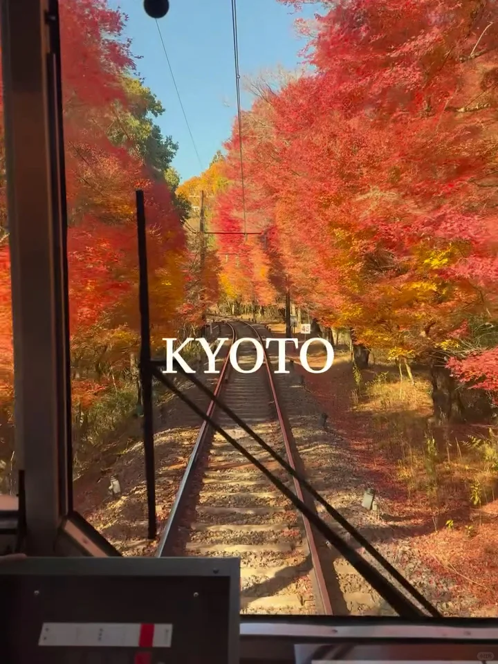 Promise me you'll visit Kyoto in autumn 🍁🍂⛩️