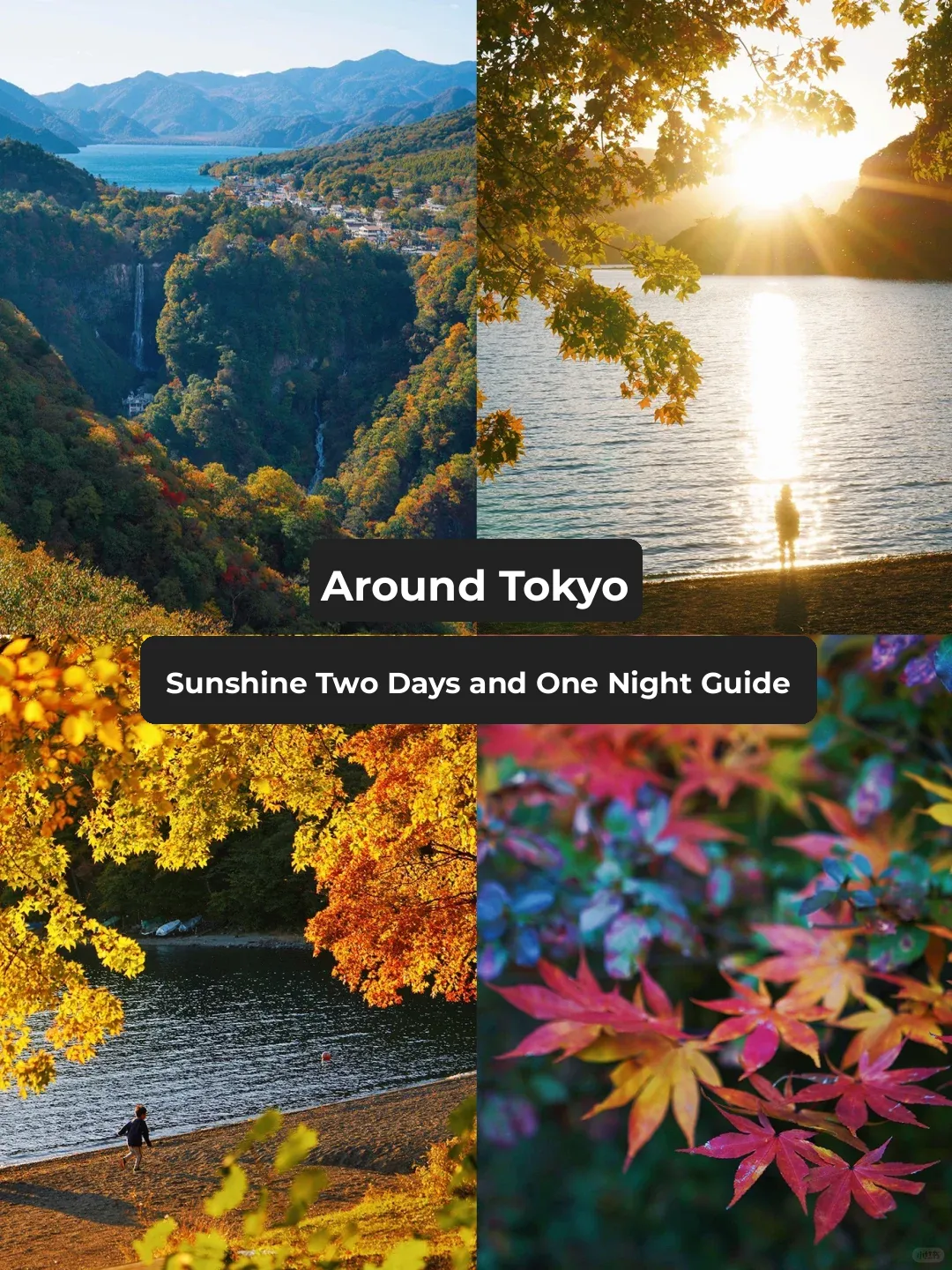 Tokyo Vicinity | Nikko 2-Day 1-Night Ultimate Practical Guide 🔥