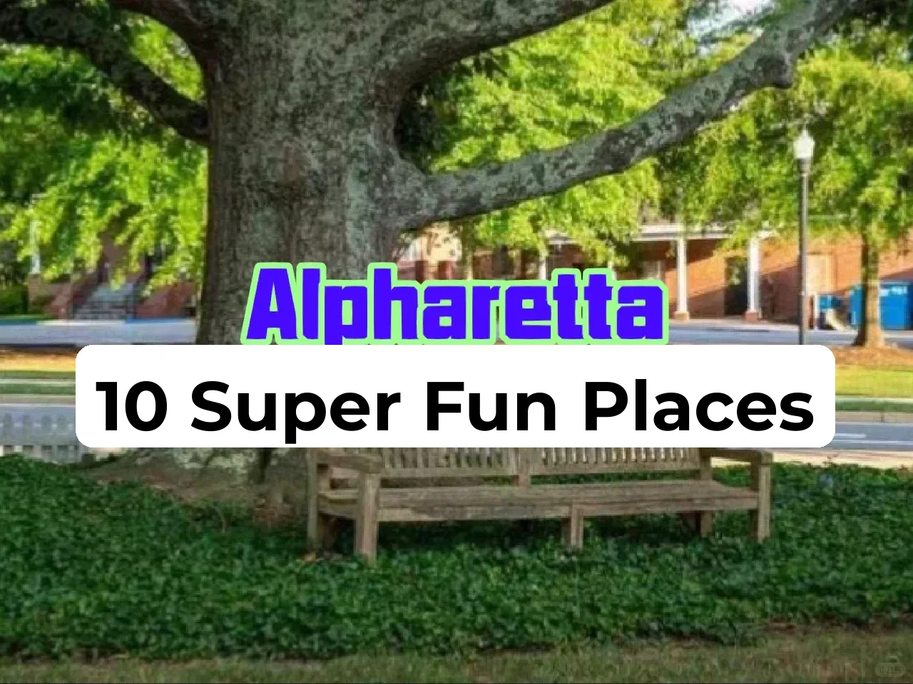 **10 Super Fun Attractions in Atlanta, a City Loved by the Chinese Community!**