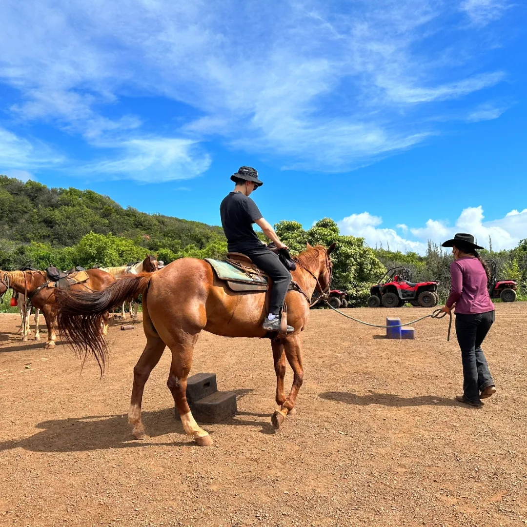 🌺 Hawaii Travel Guide | The Ultimate Horseback Riding Tour in Maui