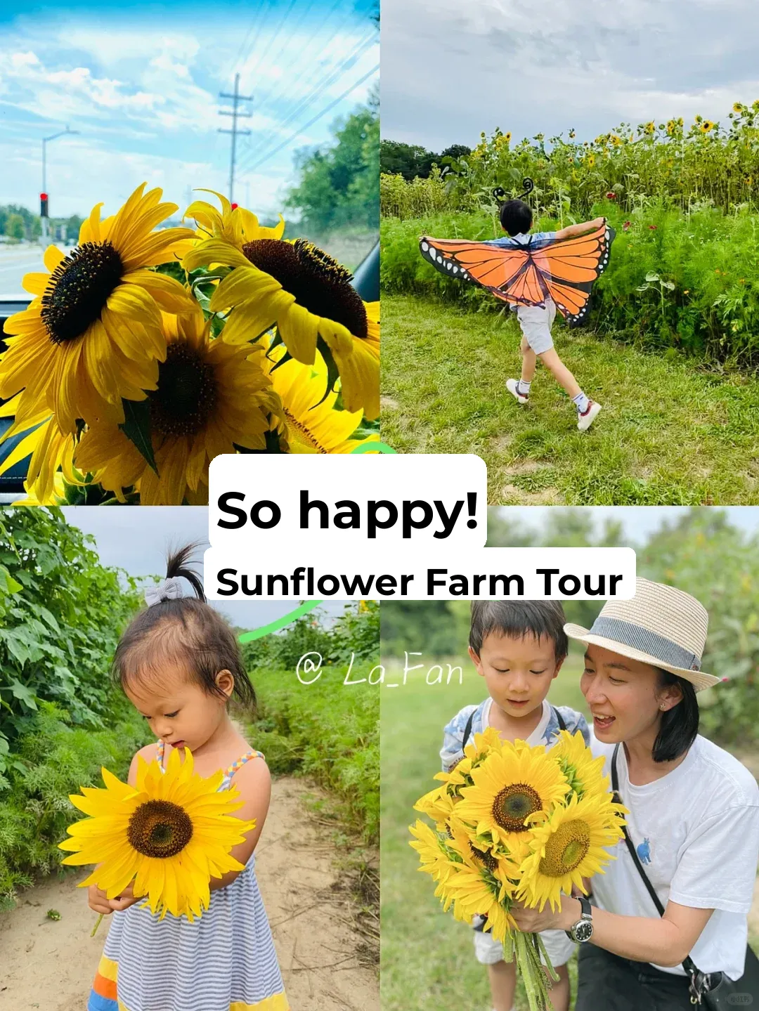 "Milwaukee Sunflower Farm: Little Ones Transform into Butterfly Fairies for Free"