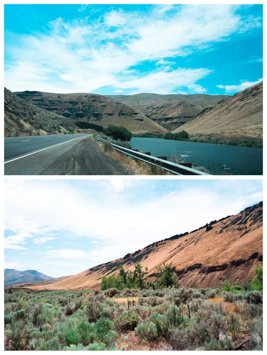 What Else Can You Do in Yakima Besides Cherry Picking?