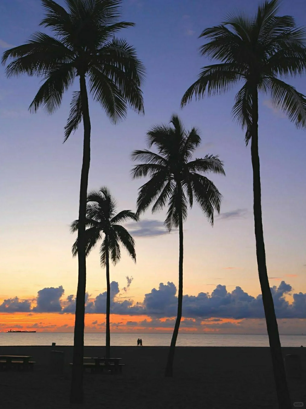 "Regretting Not Coming Across This Guide Before Visiting Fort Lauderdale..."