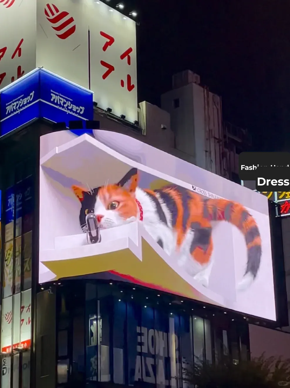 Finally got the full version of Shinjuku's Triple-Striped Cat after waiting for half an hour! 🥹