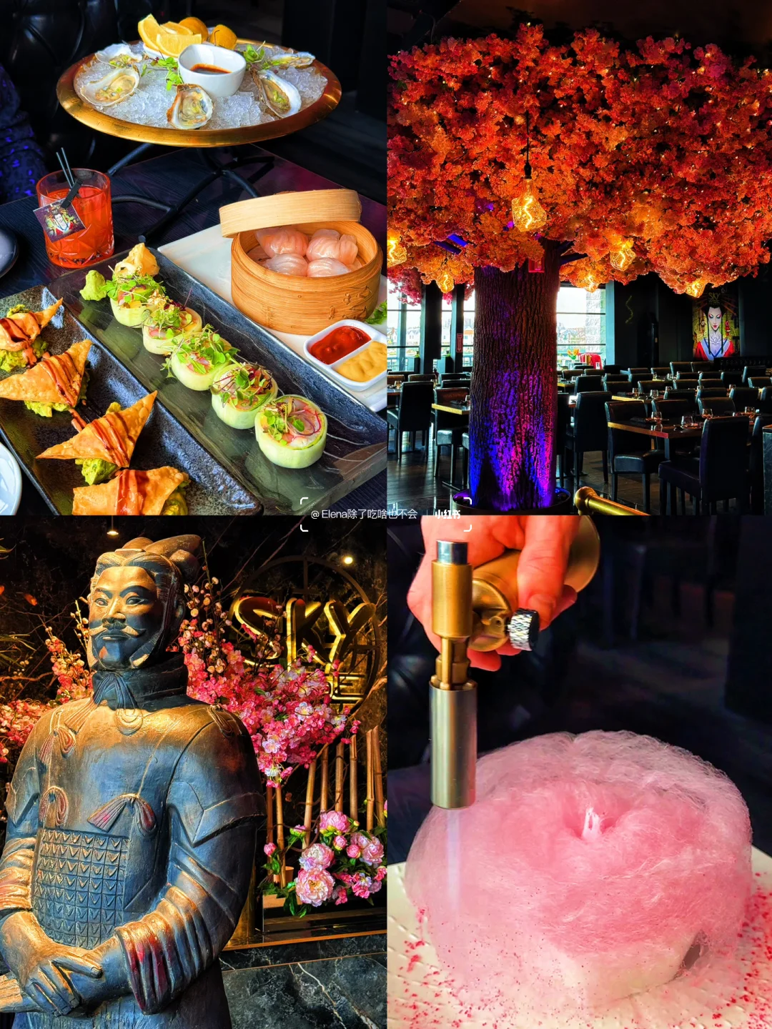 This is New York, not Xi'an! 🔥 Terracotta Warriors Fall for Cherry Blossoms! ‼️