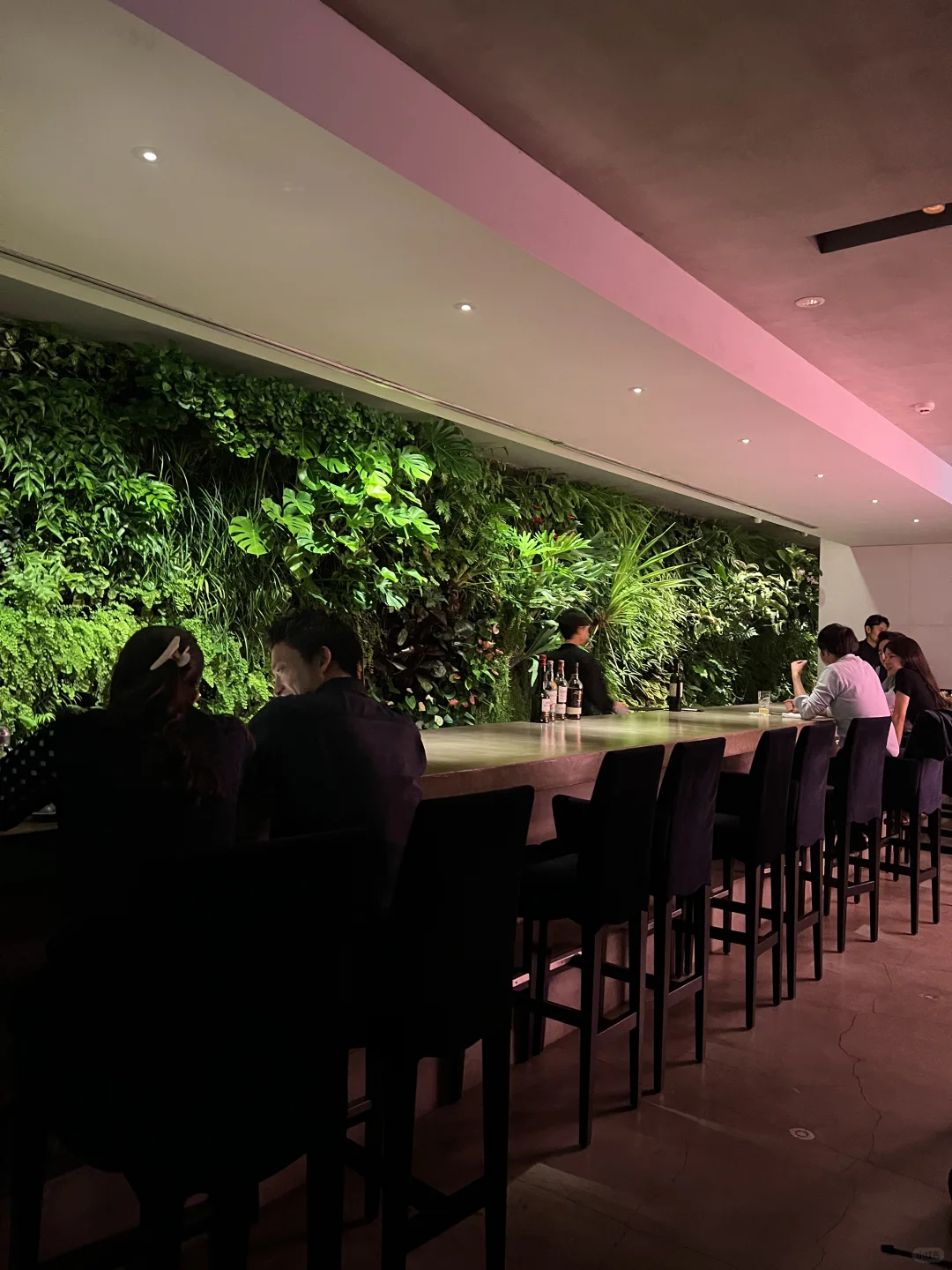 Tokyo Bar Hunt | Hidden Gem in Aoyama Behind the Wall 🍃