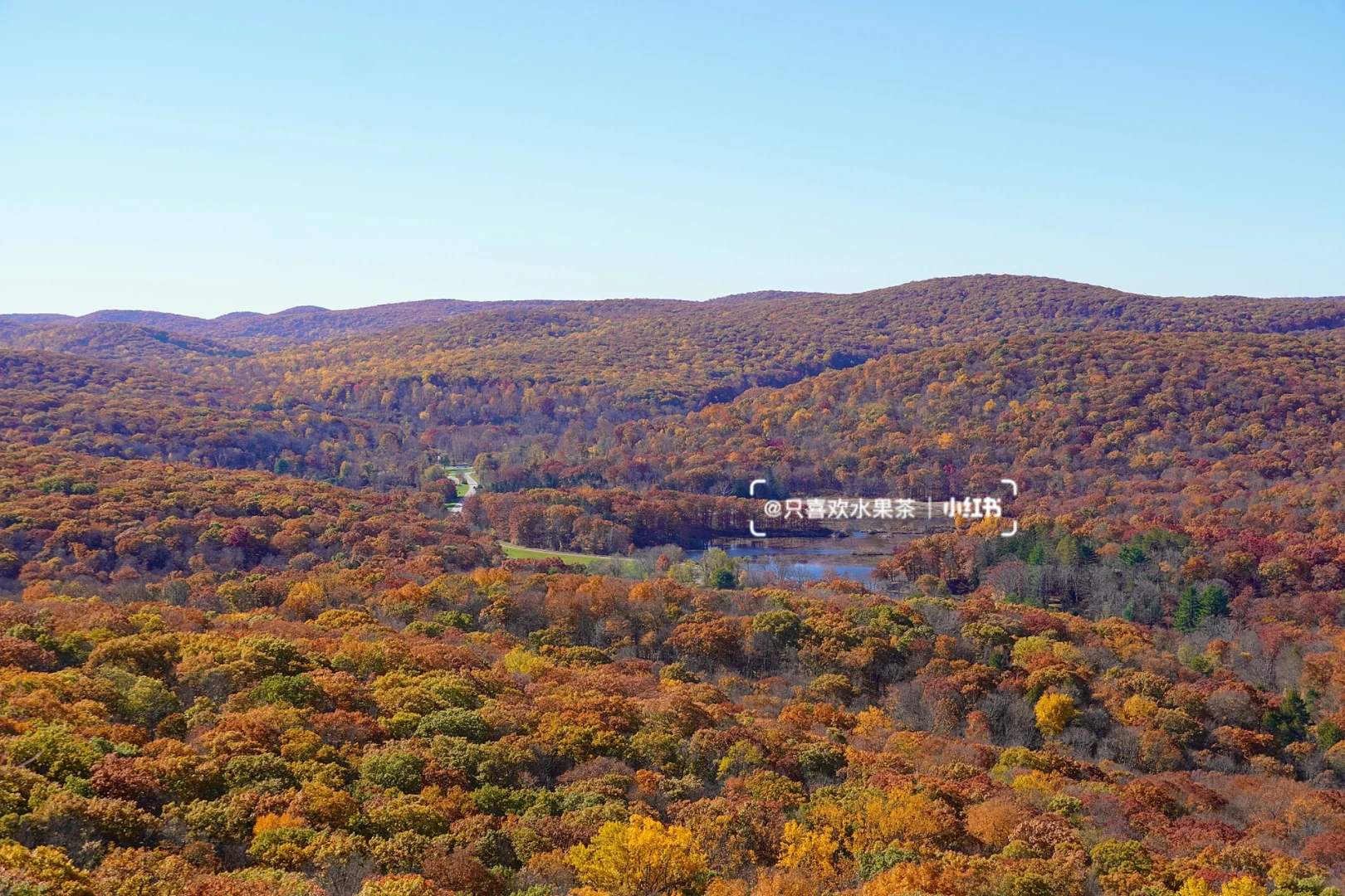 🍁 Bear Mountain Fall Foliage Guide: A Scenic Escape Near NYC