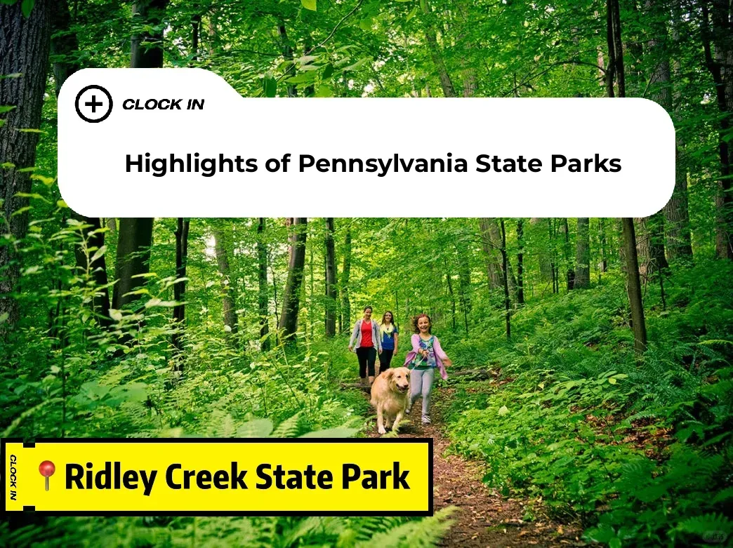 Top 9 Must-Visit State Parks in Pennsylvania