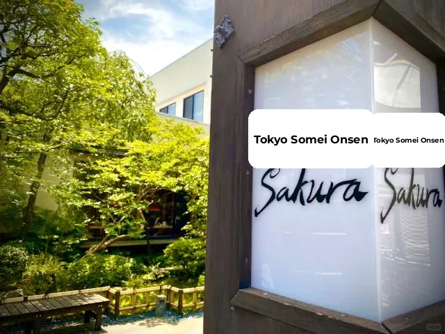 ♨️Hidden Hot Springs in Tokyo♨️ Insider Picks 😘