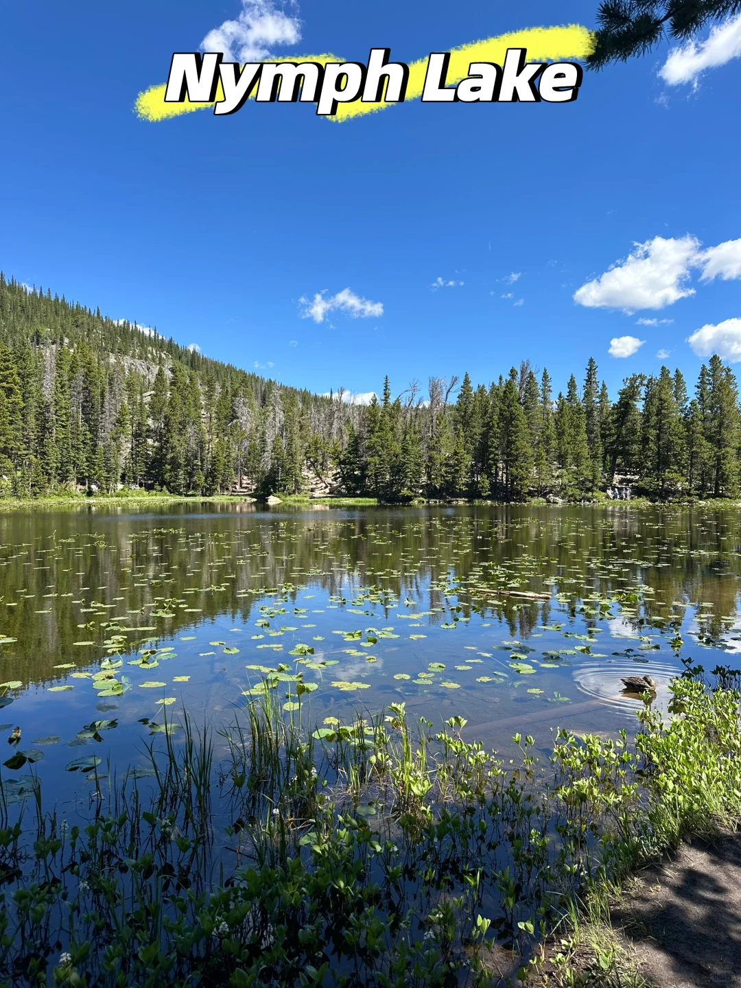 Denver | A Foolproof One-Day Travel Guide to Rocky Mountain National Park 🤓😎