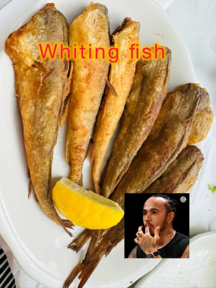 Experiencing Mediterranean Vibes in New York