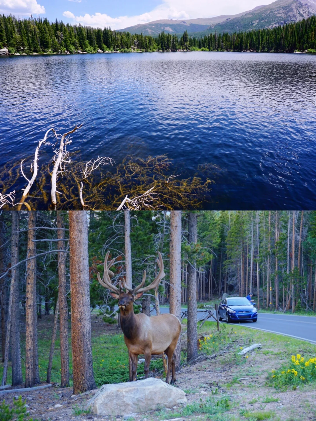 Summer Travel in Colorado | Photo-Worthy Spots Near Denver