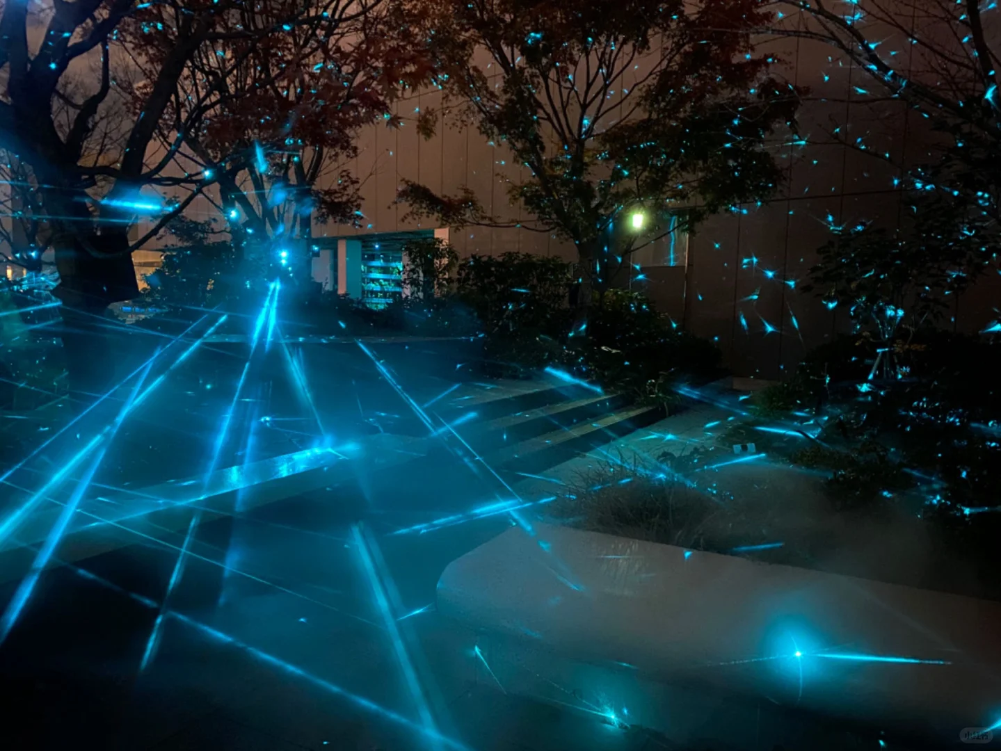 GINZA SIX Rooftop Terrace Meets teamLab: A Fusion of Luxury and Art