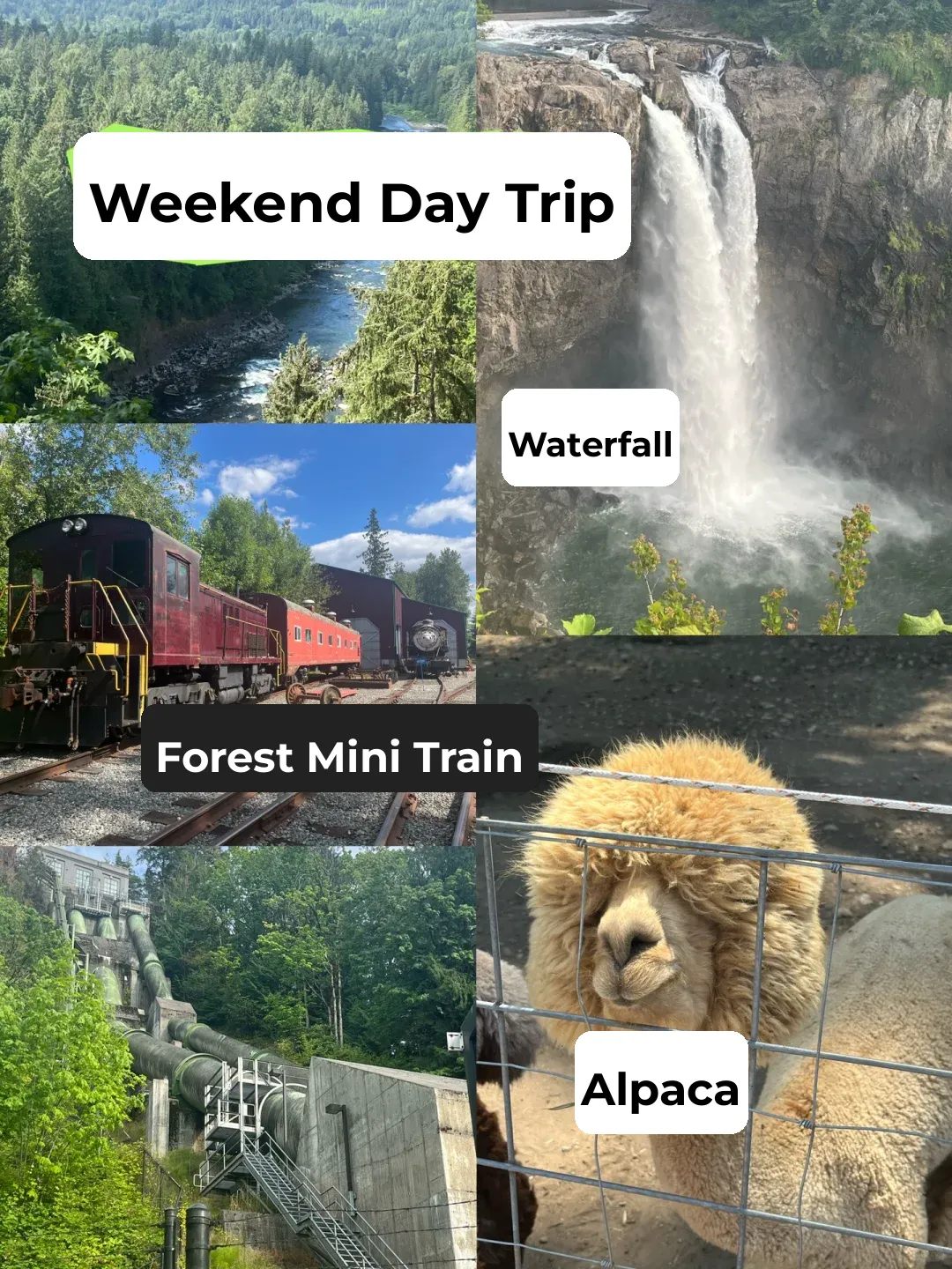 Seattle Weekend Getaway | Alpaca Falls, Forest Train Adventure 🚂