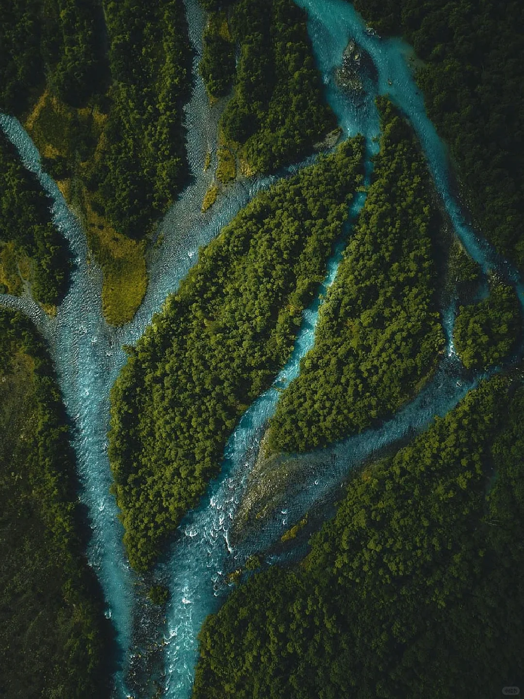 NY Weekend Getaway: 6 Hidden Nature Escapes Near New York for a Breath of Fresh Air