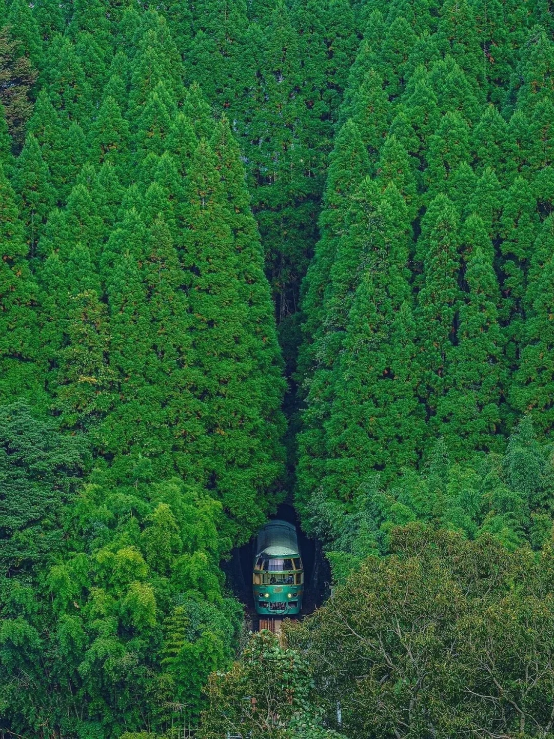 The Place Everyone's Asking About on WeChat Moments is Absolutely Stunning! ❗️❗️