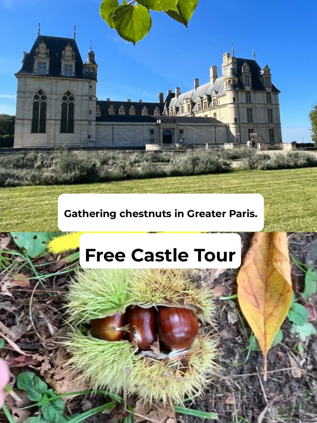 🇫🇷 Free Day Trip: Chestnut Picking in the Suburbs of Greater Paris + Visit to a Castle in the 95th Department