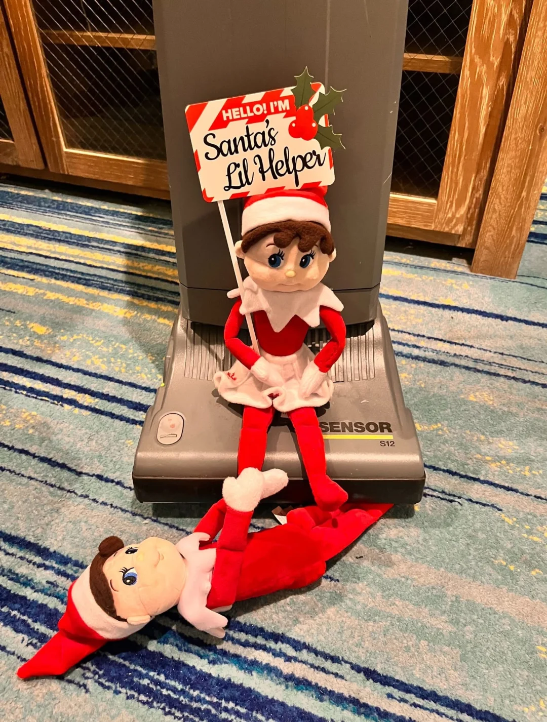 Best Spots for Shell Collecting Near Miami 🐚