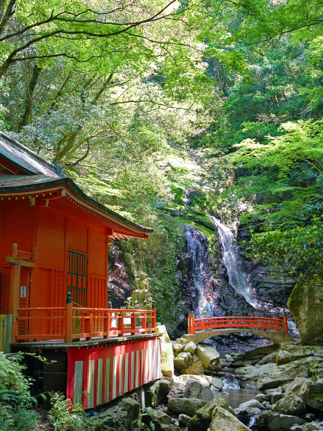 Discover Mountains and Seas! 🌊🏔️ Spend a Day in This Hidden Gem Near Osaka