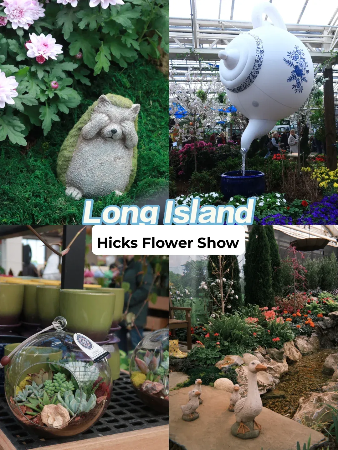 New York Area | A Free Flower Show in Long Island for a Perfect Weekend Stroll & Soul-Soothing Escape