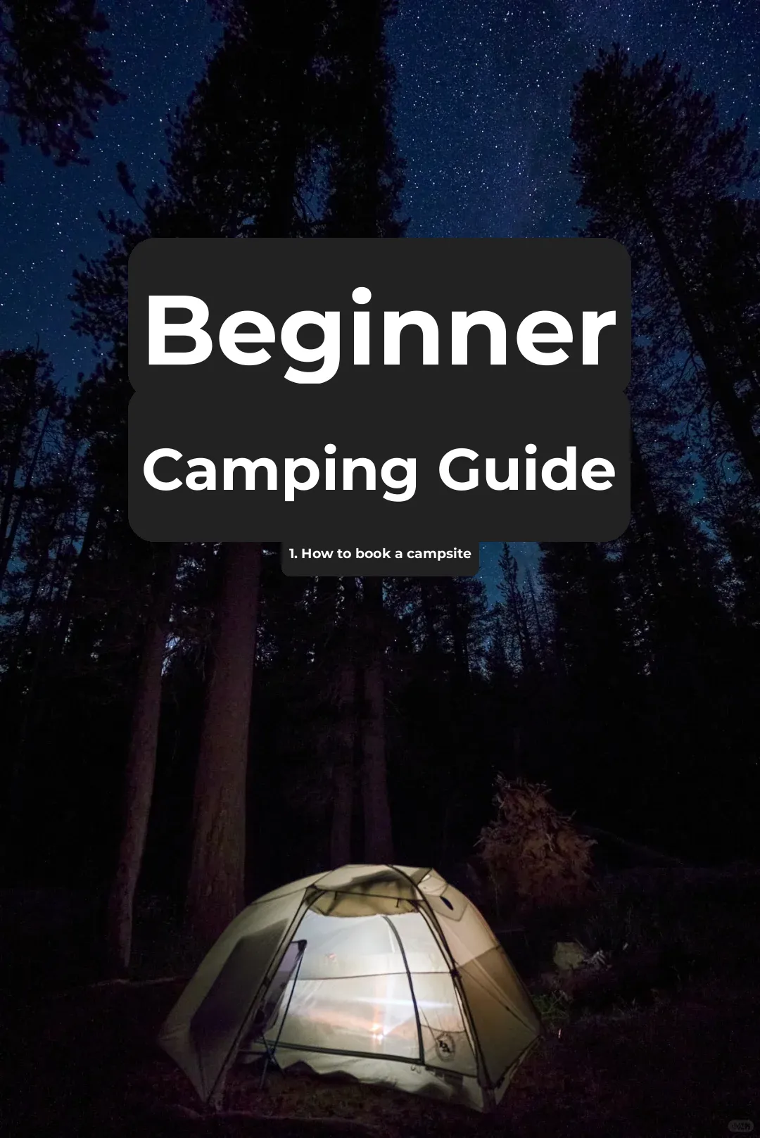 Step-by-Step Guide to Camping | Plus Bay Area Beginner-Friendly Campsites Recommendations