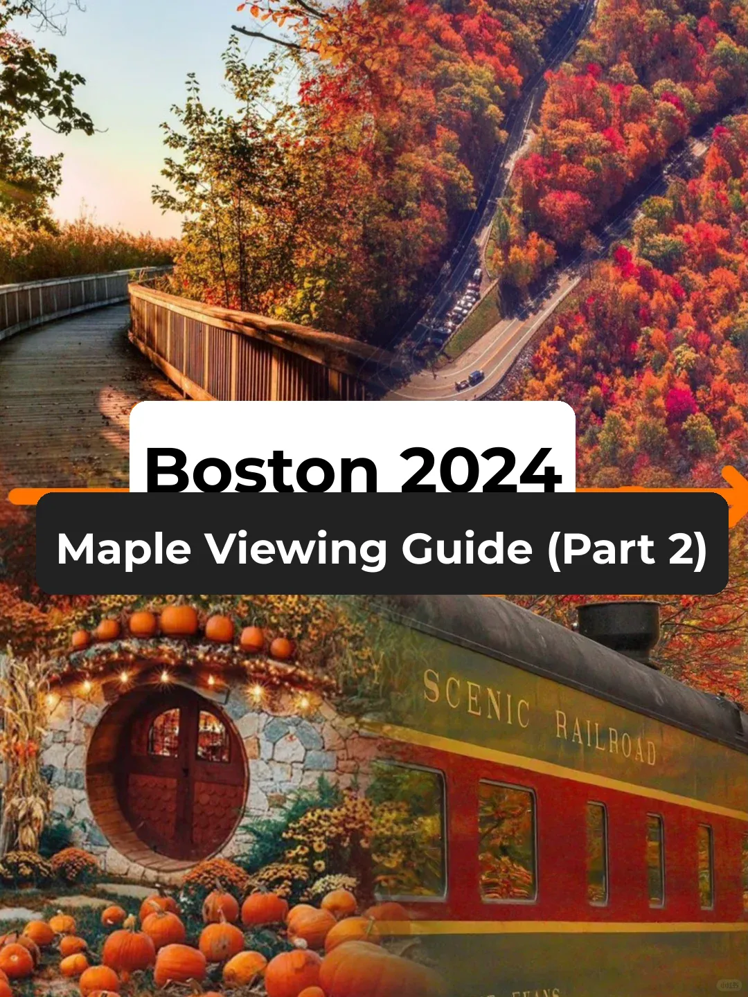 Here Comes Part 2 of Boston's 2024 Fall Foliage Guide—Hidden Gems & Super Hot Spots!