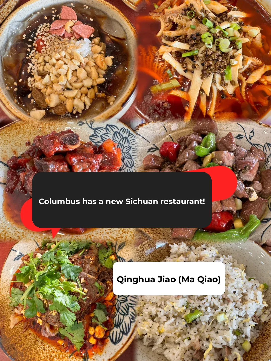 Columbus Welcomes New Sichuan Cuisine!!! Qing Hua Jiao