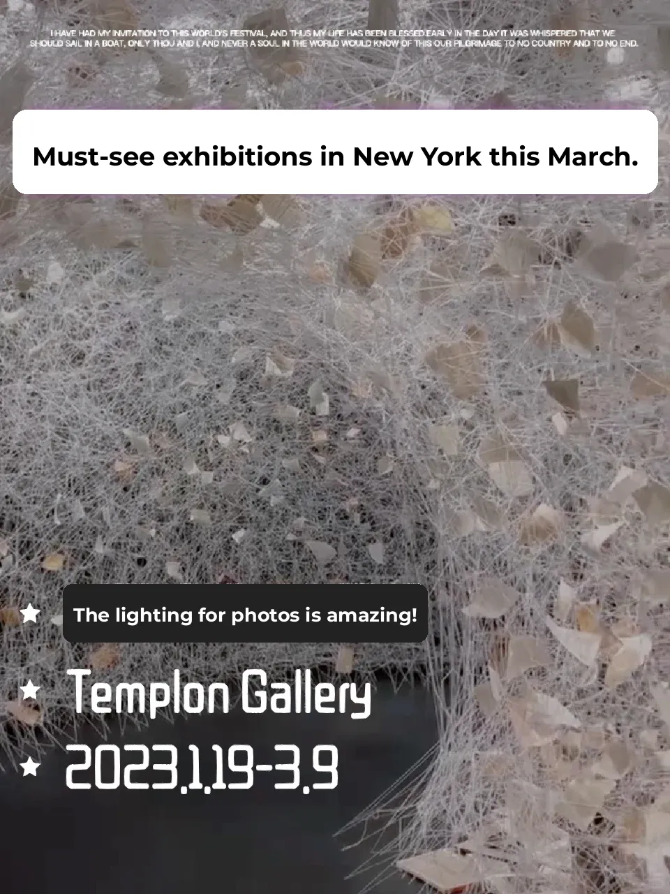 Must-See Exhibitions in NYC This March 🤍 Salt Field Chiharu's Romance 🔺