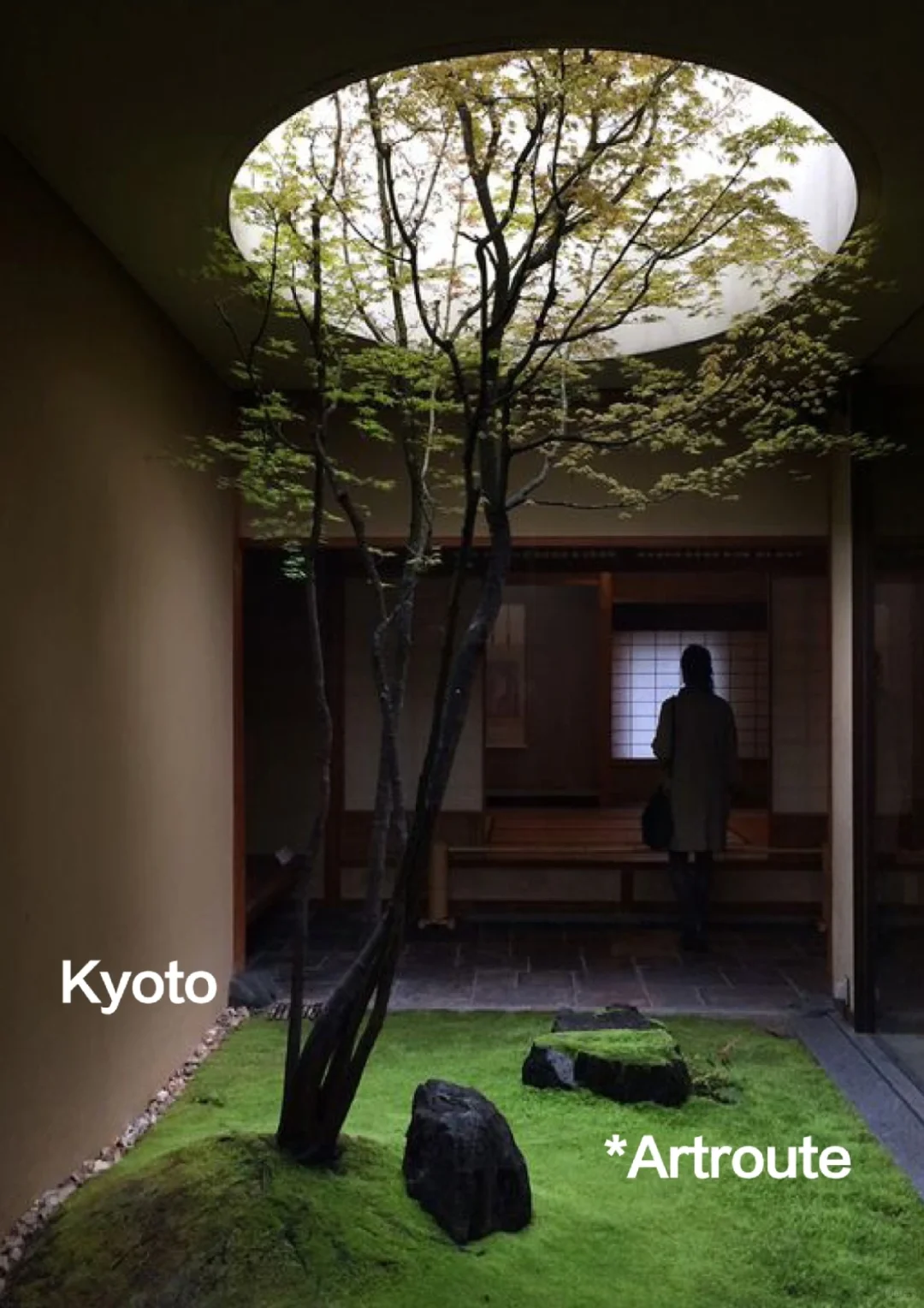 Discover Kyoto's Art Scene: 5 Must-Visit Galleries