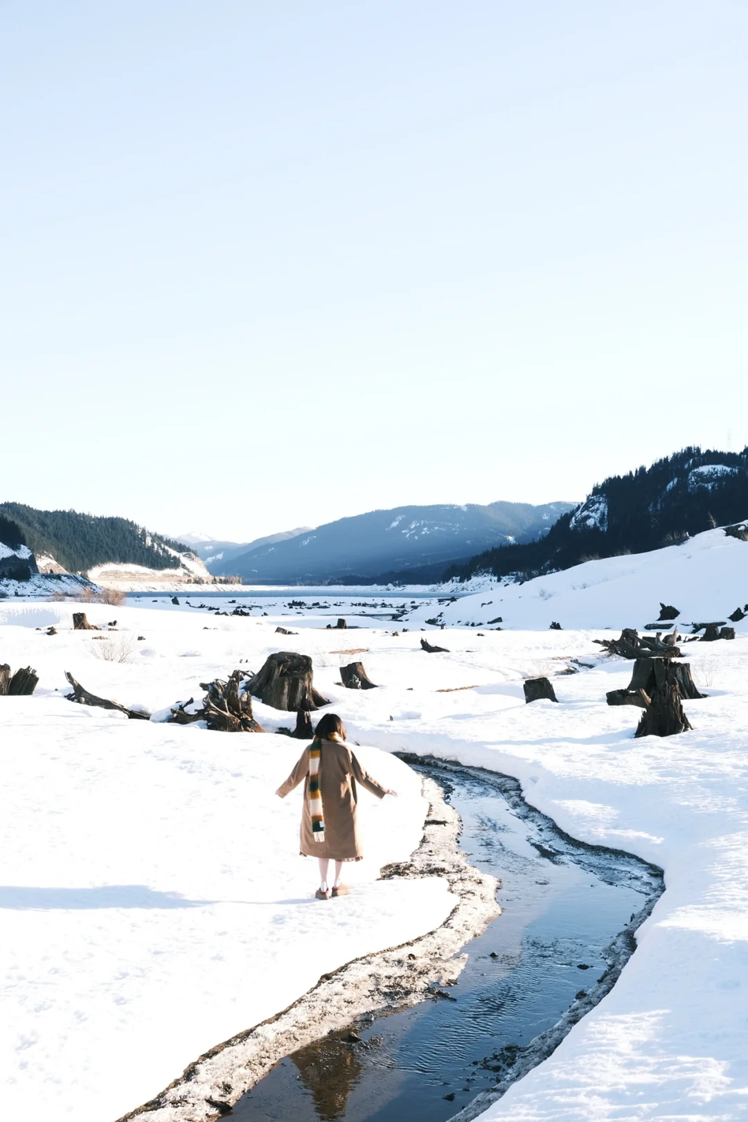 Want to See Snow in Seattle This Winter? ❄️ It's More Than Just Washington's "Little Jiuzhaigou"